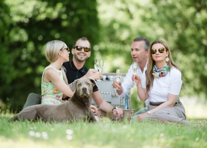 Szidonia Castle מלון